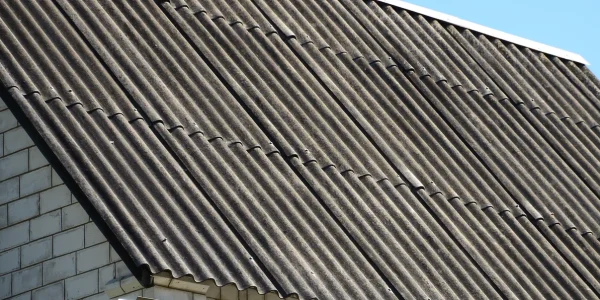 gray-corrugated-roof-with-light-blue-sky-2026-01-08-23-49-59-utc-petite